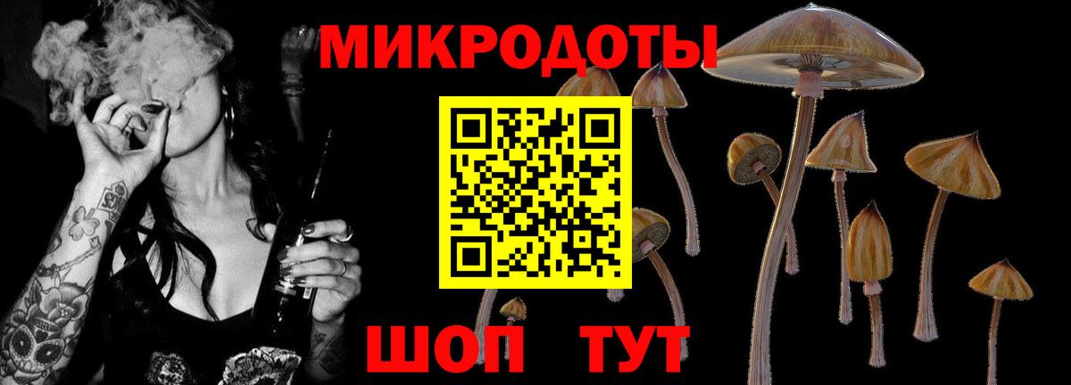 Орск  Галлюциногенные грибы Magic Shrooms  Вход с VPN 